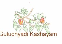 Guluchyadi-Kashayam-Sookshma-Choornam-benefits