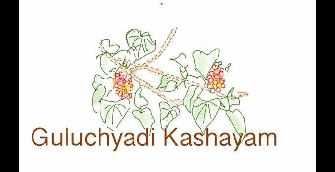 Guluchyadi-Kashayam-Sookshma-Choornam-benefits