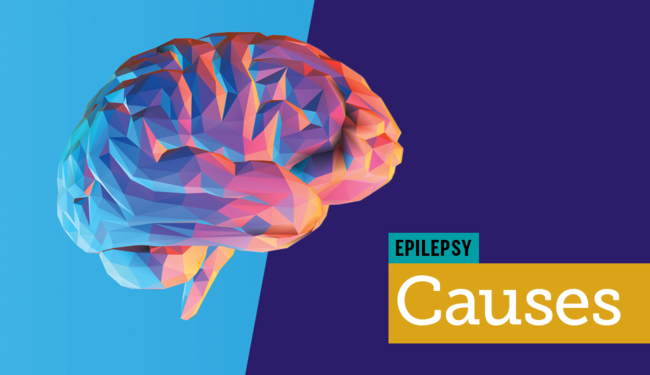 gopichandanadi-gulika-for-epilepsy